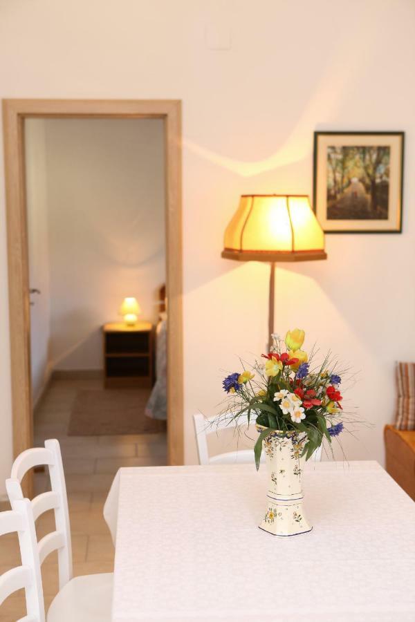 Novigrad  Apartments Vidrice المظهر الخارجي الصورة